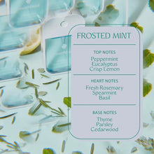 Load image into Gallery viewer, Touchland Power Mist Frosted Mint
